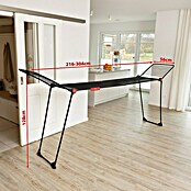 Vileda Tendedero con alas Infinity Flex extensible (Longitud cuerda de tender: 30 m, L x An x Al: 304 x 56 x 128 cm, Negro) | BAUHAUS