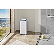 Proklima Luftentfeuchter (400 W, Entfeuchtungsleistung: 20 l/Tag, L x B x H: 26,2 x 26,2 x 59 cm, Rollen)