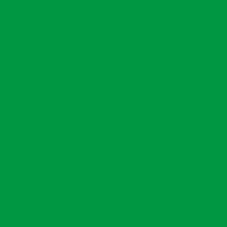 Moosgummi (Grün, L x B x H: 30 cm x 20 cm x 2 mm)