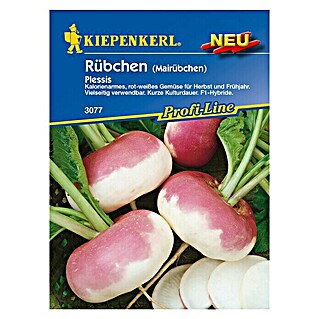 Gemüsesamen Rübchen