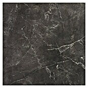 Feinsteinzeugfliese Premium Marble (60 x 60 cm, Anthrazit, Poliert)