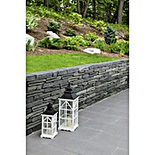 EHL Terrassenplatte Mesafino (Grau, 40 x 60 x 4 cm, Beton)