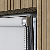 Verduisterend rolgordijn Luxus (b x h: 115 x 190 cm, Wit) | BAUHAUS