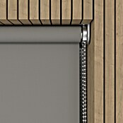 Verduisterend rolgordijn Luxus (b x h: 210 x 190 cm, Grijs) | BAUHAUS