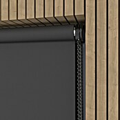 Verduisterend rolgordijn Luxus (b x h: 70 x 190 cm, Antraciet) | BAUHAUS