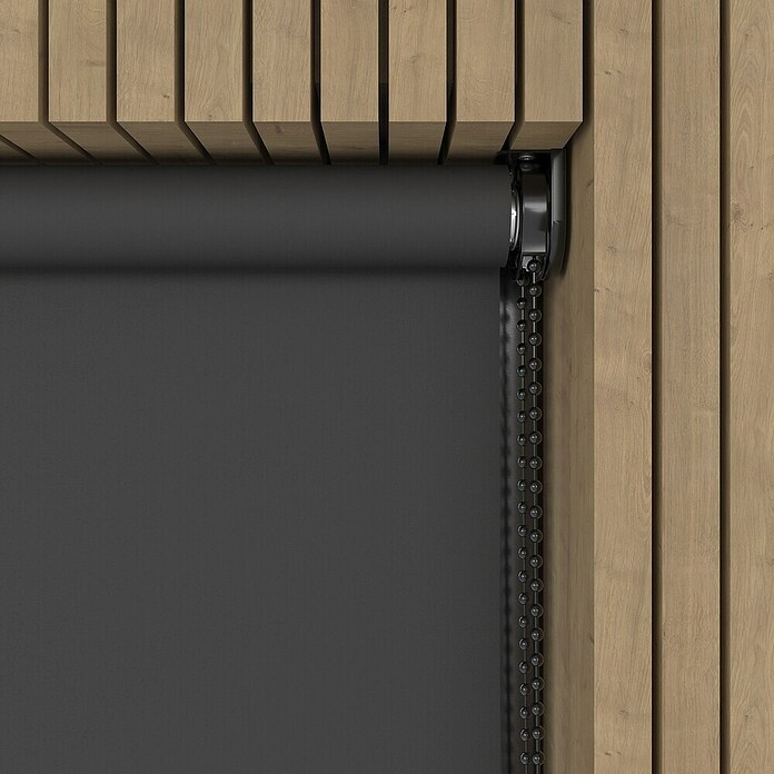 Verduisterend rolgordijn Luxus (b x h: 70 x 190 cm, Antraciet) | BAUHAUS