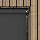 Verduisterend rolgordijn Luxus (b x h: 70 x 190 cm, Antraciet) | BAUHAUS