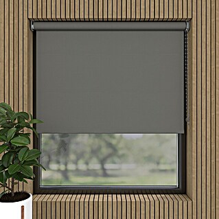 Verduisterend rolgordijn (b x h: 75 x 190 cm, Metaal, Polyester)