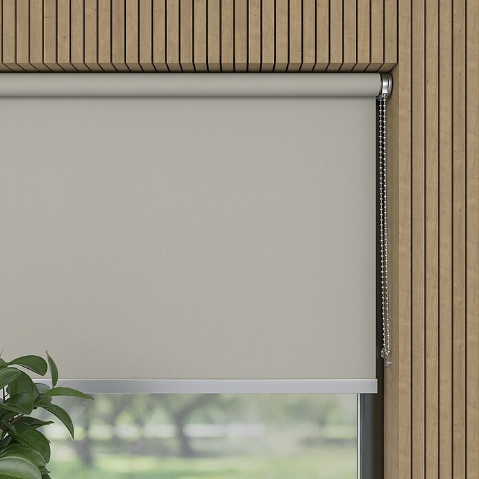 Verduisterend rolgordijn Luxus (b x h: 230 x 190 cm, Lichtgrijs) | BAUHAUS