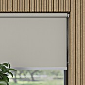 Verduisterend rolgordijn Luxus (b x h: 230 x 190 cm, Lichtgrijs) | BAUHAUS