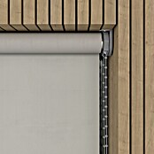 Verduisterend rolgordijn (b x h: 90 x 190 cm, Lichtgrijs, 100 % Polyester) | BAUHAUS