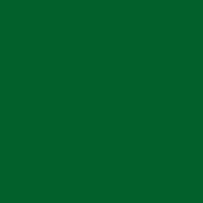 Consolan Wetterschutzfarbe (Grün, Seidenglänzend, 750 ml)