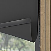 Verduisterend rolgordijn Luxus (b x h: 70 x 190 cm, Antraciet) | BAUHAUS