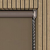 Verduisterend rolgordijn (b x h: 160 x 190 cm, Donkertaupe, 100 % Polyester) | BAUHAUS
