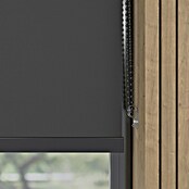 Verduisterend rolgordijn Luxus (b x h: 70 x 190 cm, Antraciet) | BAUHAUS