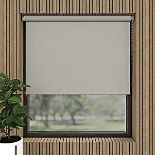 Verduisterend rolgordijn (b x h: 40 x 190 cm, Lichtgrijs, 100 % Polyester)