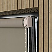 Verduisterend rolgordijn (b x h: 60 x 190 cm, Twill, 100 % Polyester) | BAUHAUS
