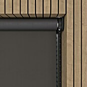 Verduisterend rolgordijn (b x h: 70 x 190 cm, Klei, 100 % Polyester) | BAUHAUS