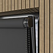 Verduisterend rolgordijn Luxus (b x h: 70 x 190 cm, Antraciet) | BAUHAUS