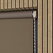 Verduisterend rolgordijn (b x h: 160 x 190 cm, Donkertaupe, 100 % Polyester) | BAUHAUS