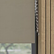 Verduisterend rolgordijn (b x h: 60 x 190 cm, Twill, 100 % Polyester) | BAUHAUS