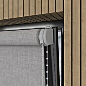 Verduisterend rolgordijn Structuur (b x h: 50 x 190 cm, Grijs) | BAUHAUS