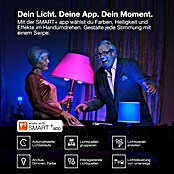 Osram Smart-LED-Lampe Spot (GU10, Dimmbar, RGBW, 350 lm, 5 W) | BAUHAUS