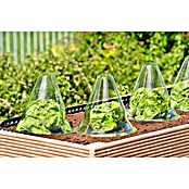 Gardol Pflanzenhut (24 cm, 10 Stk.)
