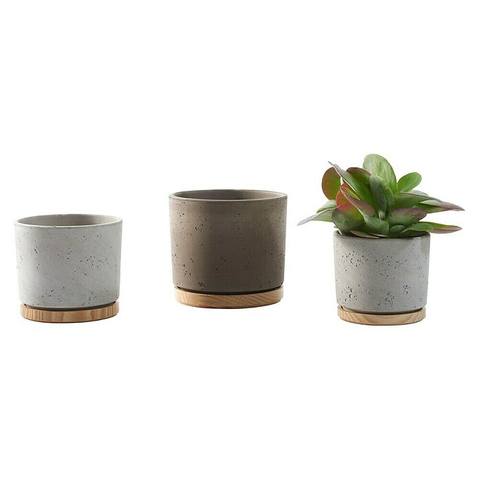 Soendgen Keramik Okrugla tegla za biljke  (Vanjska dimenzija (ø x V): 14 x 13 cm, Pijesak sive boje, Drvo) | BAUHAUS