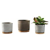 Soendgen Keramik Okrugla tegla za biljke  (Vanjska dimenzija (ø x V): 14 x 13 cm, Pijesak sive boje, Drvo) | BAUHAUS
