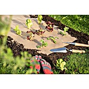 Windhager Mulch - Papier Öko (L x B: 10 x 9 m, Beige) | BAUHAUS