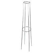 Windhager Rankhilfe rund (Ø x H: 22 x 80 cm, Metall, 1 Stk.) | BAUHAUS