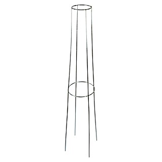 Windhager Rankhilfe rund (Ø x H: 29 x 80 cm, Metall, 1 Stk.)
