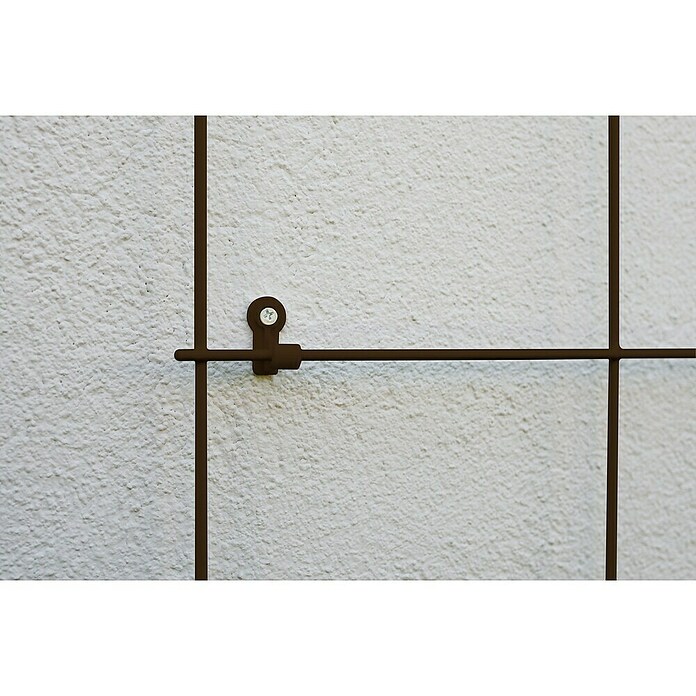 Windhager Befestigung für Metall-Gitterspaliere (Passend für: Metallspaliere, 4 Stk.) | BAUHAUS