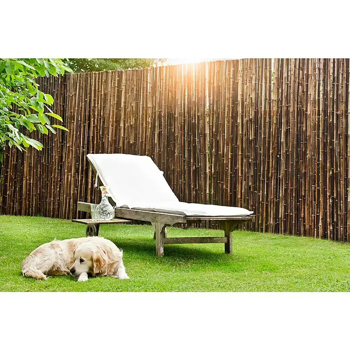 Windhager Sichtschutzmatte Ontake - L x H: 180 x 180 cm, Bambus, Schwarz - Eine Ruheoase im Garten: Ein Liegestuhl mit weißer Auflage vor einem Bambuszaun, ein entspannter Hund genießt die Sonne.