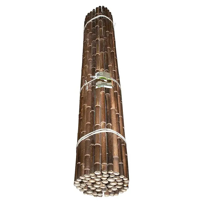 Windhager Sichtschutzmatte Ontake - L x H: 180 x 180 cm, Bambus, Schwarz - Ein Bündel dunkler Bambusrohre, zusammengebunden, ideal für Gartenprojekte oder dekorative Zwecke, die natürliche Eleganz verleihen.