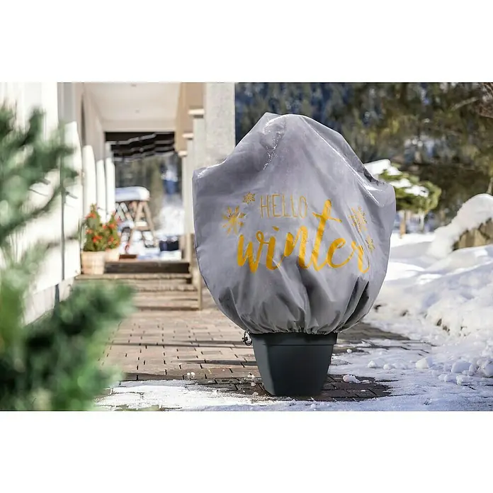 Windhager Winterschutzvlies Protect XL Hello Winter - L x B: 110 x 110 cm, Grau - Eine graue Pflanzabdeckung mit der Aufschrift "Hallo Winter" schützt eine Topfpflanze im Freien vor Schnee und Kälte.