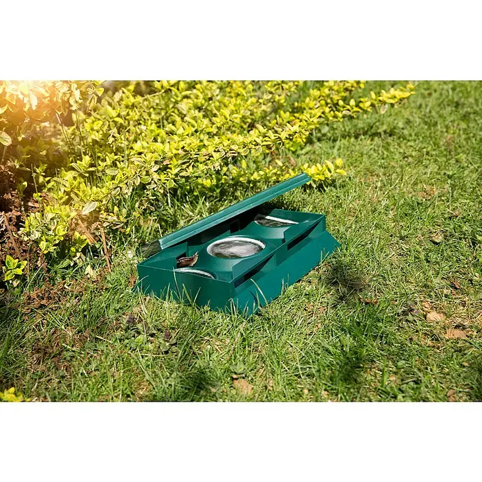 Windhager Schneckenfalle Slug-Away - Geeignet für: Schnecken - Eine grüne, offene Schneckenfalle steht im Garten auf dem Rasen, umgeben von Pflanzen. Die Falle enthält Wasser, um die Schnecken anzulocken.