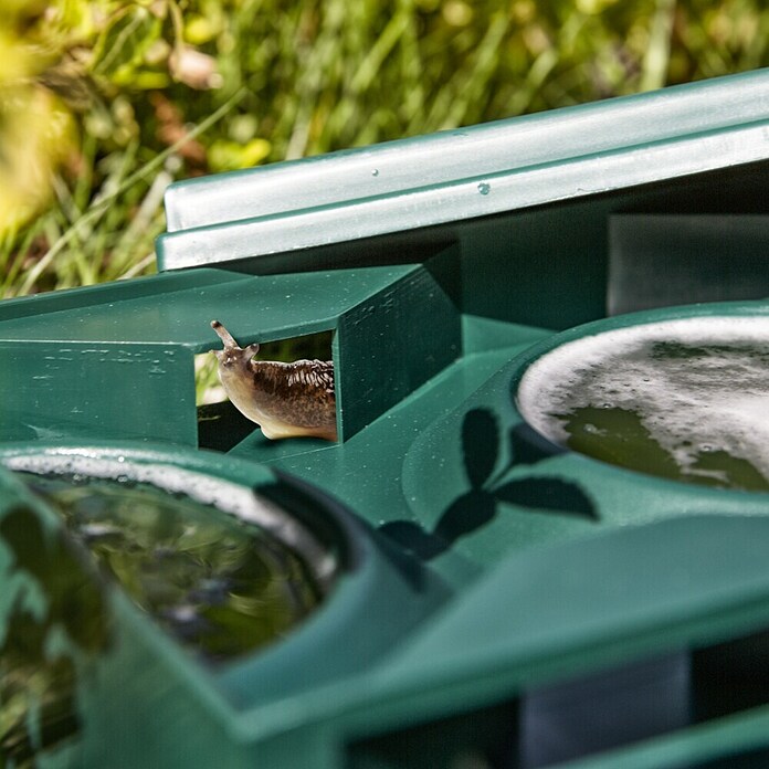 Windhager Schneckenfalle Slug-Away (Geeignet für: Schnecken) | BAUHAUS