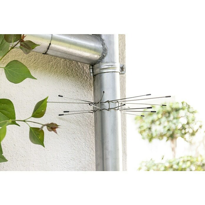 Windhager Marderschutz Fallrohr-Gürtel (Geeignet für: Marder, 2 Stk.) | BAUHAUS