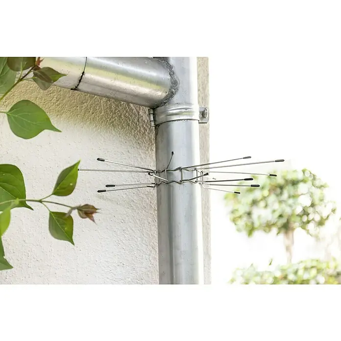 Windhager Marderschutz Fallrohr-Gürtel - Geeignet für: Marder, 2 Stk. - Nahaufnahme eines Regenrohrs mit angebrachter Taubenabwehrvorrichtung, um Vögel fernzuhalten und das Verstopfen des Rohrs zu verhindern.