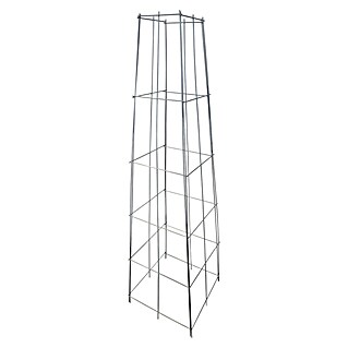 Windhager Rankhilfe Pyramide (B x H: 40 x 144 cm, Metall, Silber)
