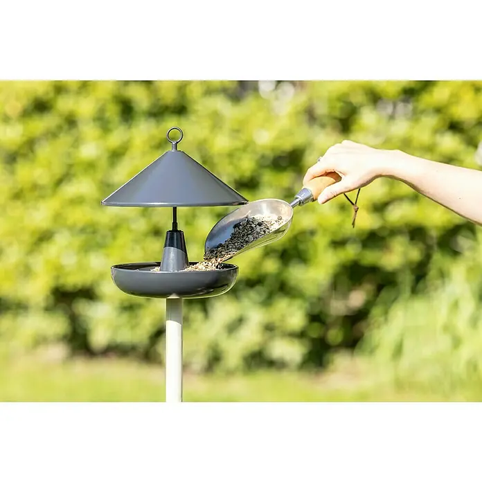 Windhager Vogelhaus Korny - Metall, Anthrazit - Jemand befüllt einen grauen Vogelfutterspender mit einem silbernen Messlöffel mit Vogelfutter in einer grünen Naturumgebung.