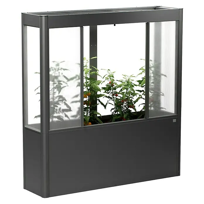 Biohort Florentina Hochbeet-Abdeckung Florentina - L x B x H: 104 x 201,6 x 136,4 mm, Dunkelgrau Metallic - Das Bild zeigt einen Urban-Balcony-Pflanzkasten mit Tomatenpflanzen in einem stilvollen, modernen Design, ideal für den Anbau auf Balkonen.