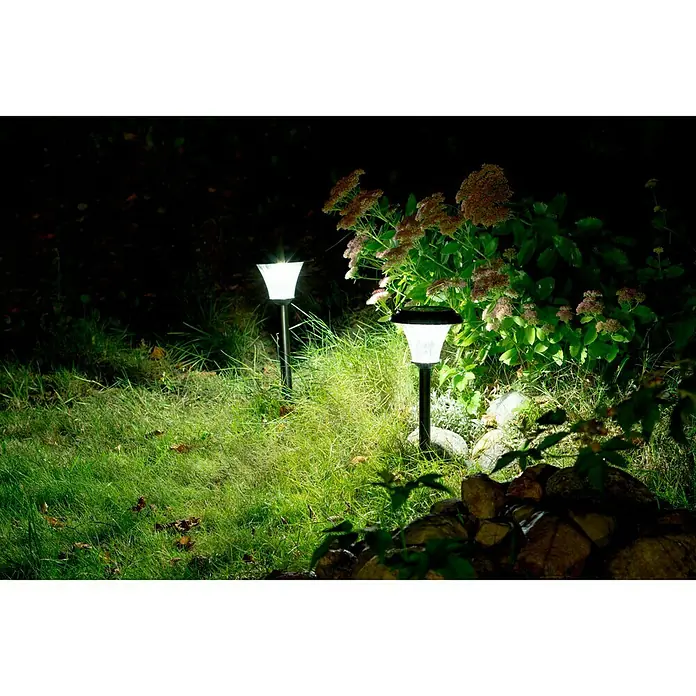 Solar-Erdspieß - Klar, Schwarz, IP44 - Zwei Solarleuchten beleuchten einen Garten mit Gras, Steinen und Blumen, was eine stimmungsvolle Atmosphäre schafft.