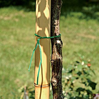 Bambus štap (Duljina: 150 cm, Promjer: 35 mm)