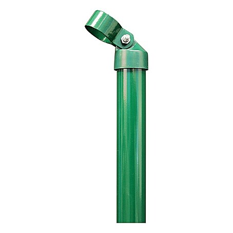 Alberts Zaunstrebe (Länge: 115 cm, Durchmesser: 34 mm)