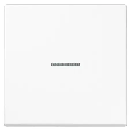 Jung LS 990 Kontrollschalterwippe LS990KO5WW