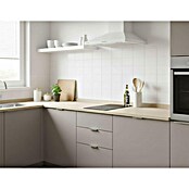Corberó Placa de cocción vitrocerámica CCVGD25BF (Número de fogones estándar: 2 ud., 2.900 W, Vidrio) | BAUHAUS