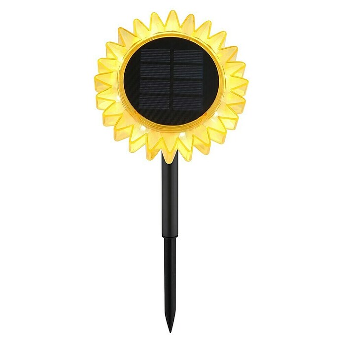 Globo Dekorativna solarna svjetiljka Suncokret  (Boja svjetla: Topla bijela, LED, Visina: 29,5 cm) | BAUHAUS